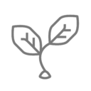 Skatt bókhaldsstofa, bókhaldsþjónusta - sproti